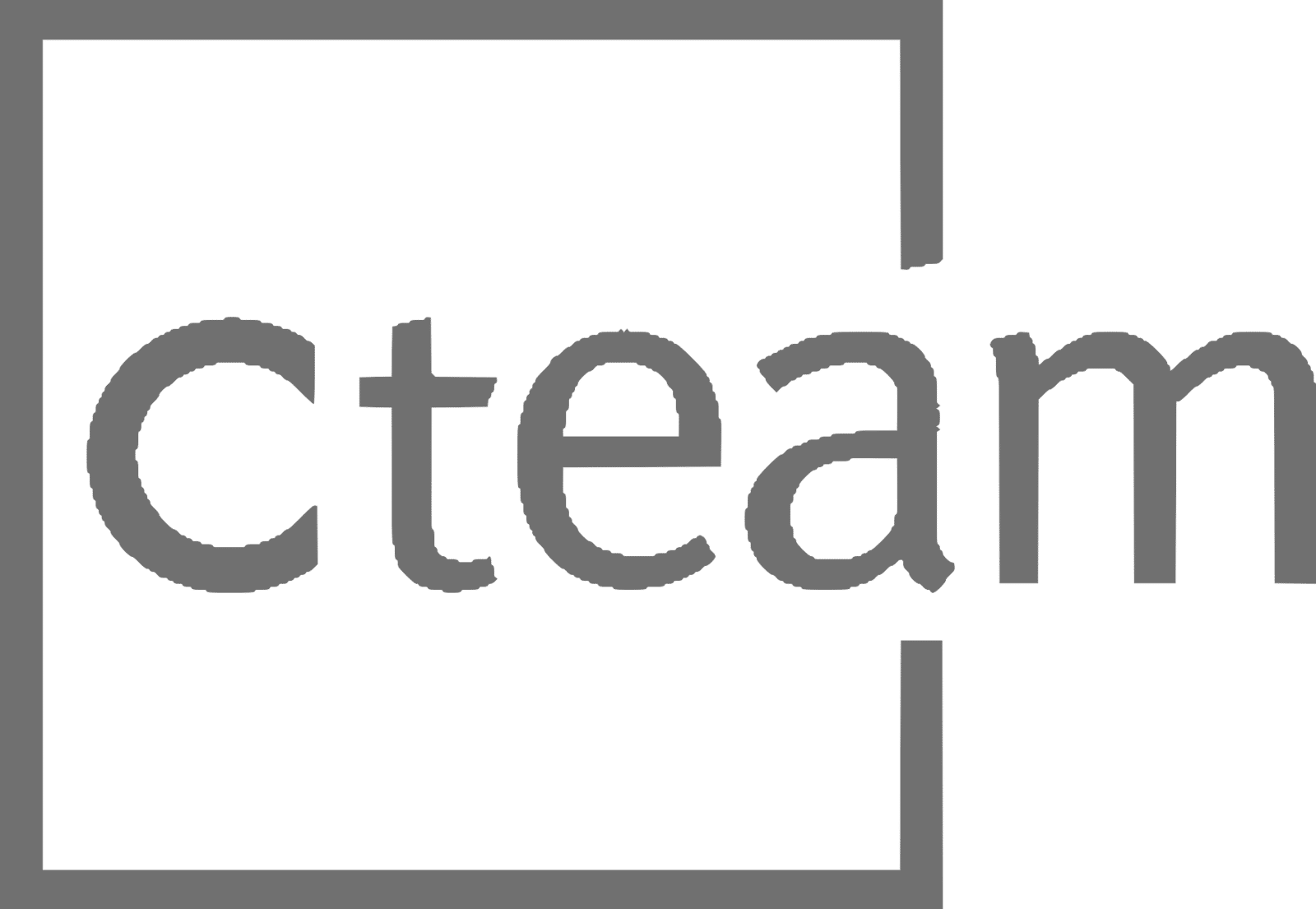 Cteam Consulting & Anlagenbau GmbH Logo